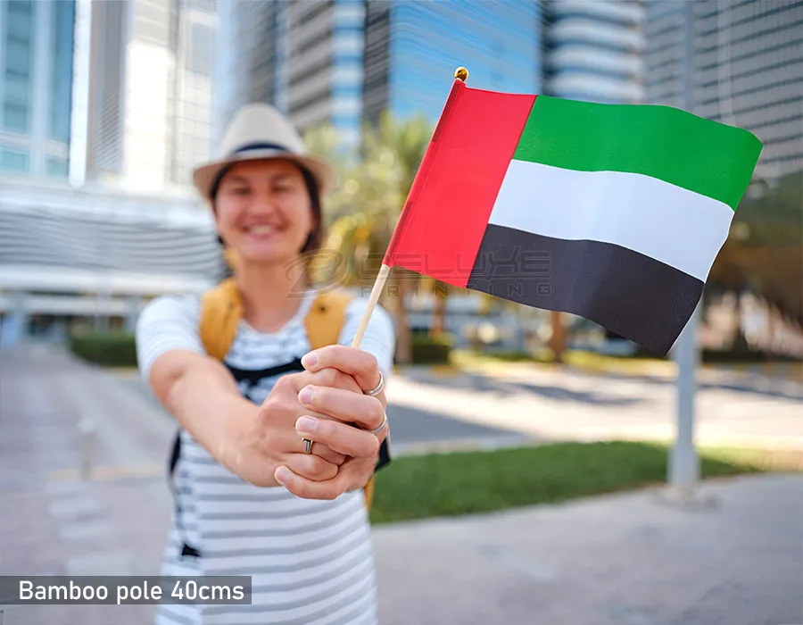 Nations Pole Flags Dubai