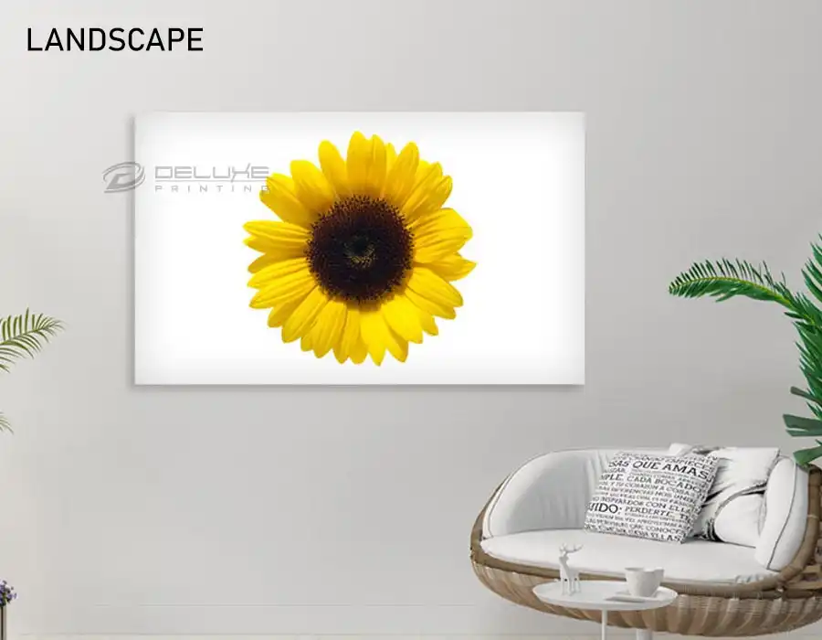Landscape Canvas Frame