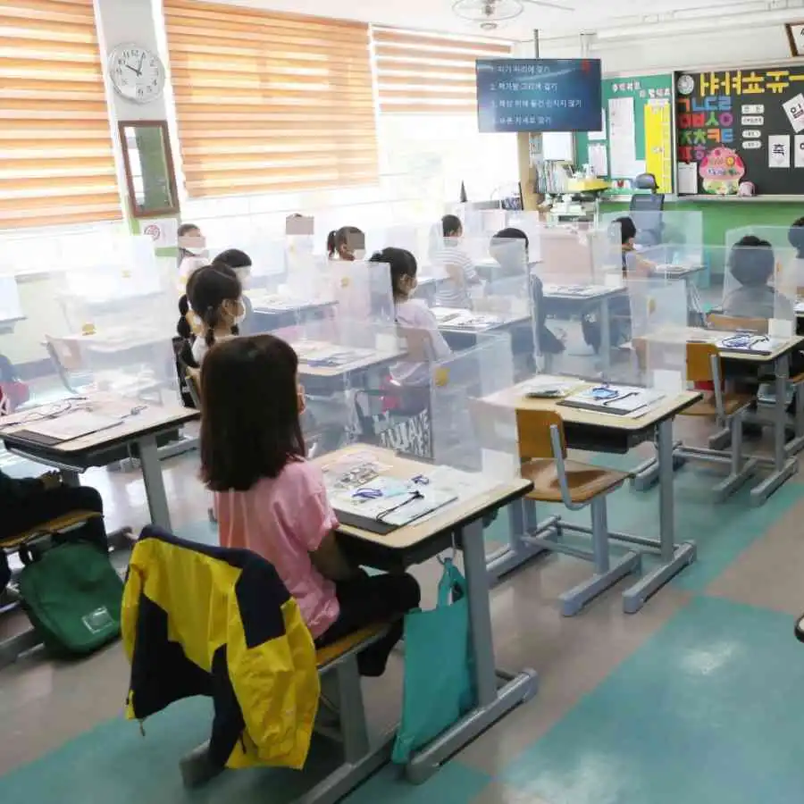 Sneeze Protector Screen Cleaning Dubai